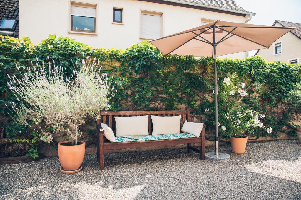 Hotel Alte Schmiede Weisweil  Esterno foto